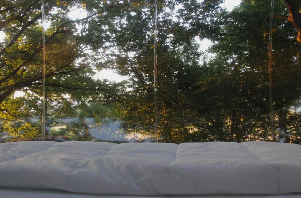 Atmosfera Bubble Glamping