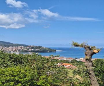 Querce Vista Mare