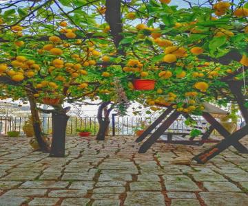 Il Limoneto Di Lulù, Holidays Among The Lemon Trees