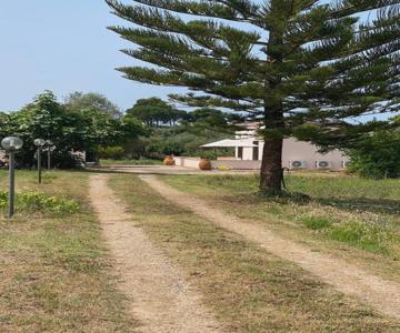 Miquel Fort - Casina Di Campagna