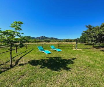 Federica's Apartment