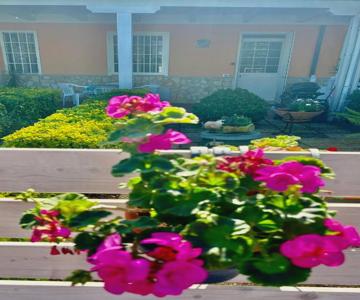 Demetra Apartment Sperlonga