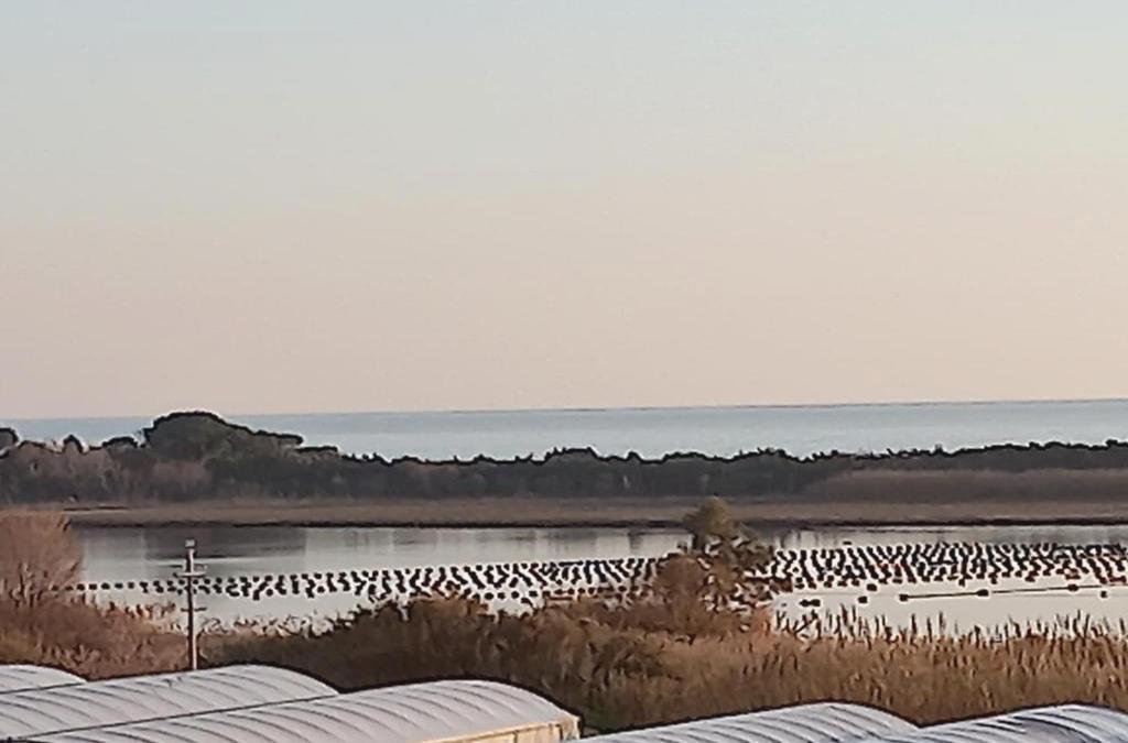 Alloggio Turistico Residenza Padovano