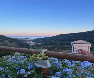 Il Rosale A Celle Ligure