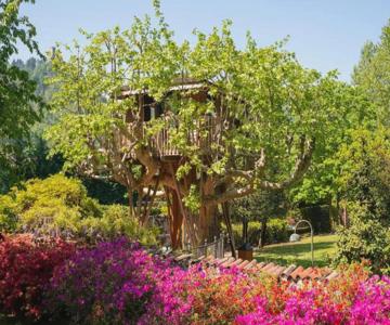 Lake Como Dream Tree House