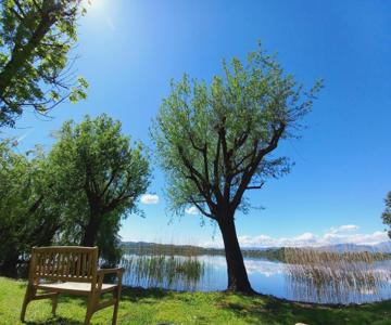 Appartamento Miralago Con Giardino Sul Lago