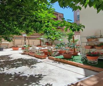 Tati's Garden