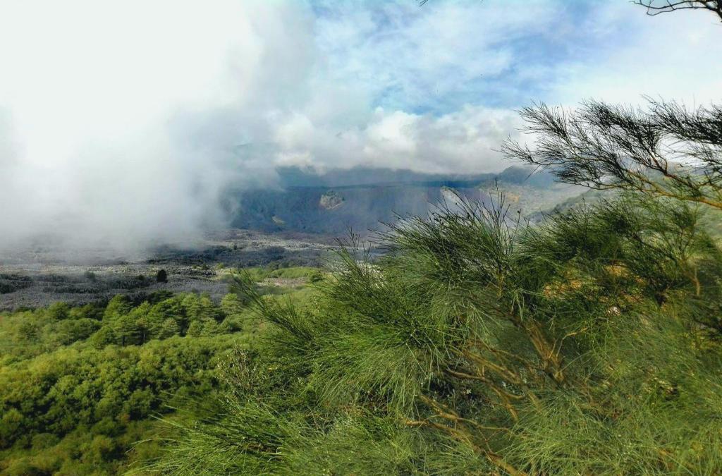 La Terra Dei Ciliegi Tra L'etna E Il Mare Di Taormina