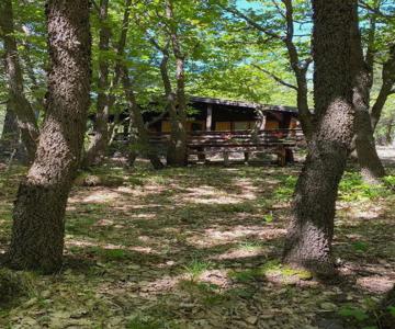 Woods Etna Chalet