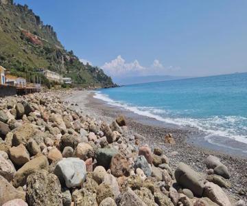 Ntonia Holiday