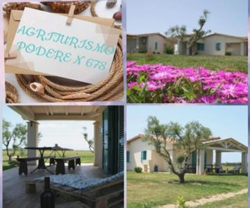 Agriturismo Podere 678