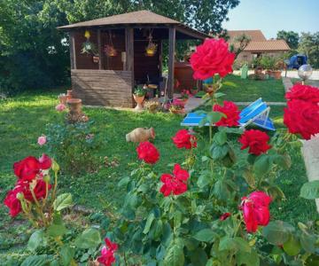 Casa Vacanze La Farfalla Di Vittori Fabiola