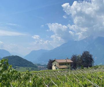 B&b La Casa In Collina