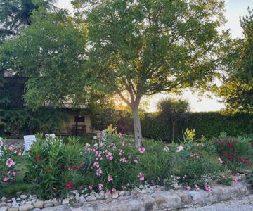 Assisi, La Noce