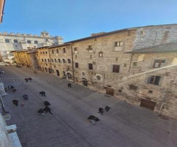 Appartamento Galeotti 18