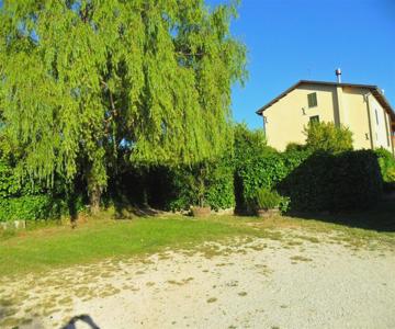La Cinci Allegra