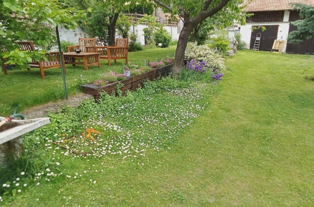 La Maison Des Fleurs