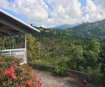 Neita's Nest Jamaican Bed and Breakfast