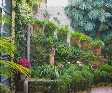 Las Terrazas San Miguel