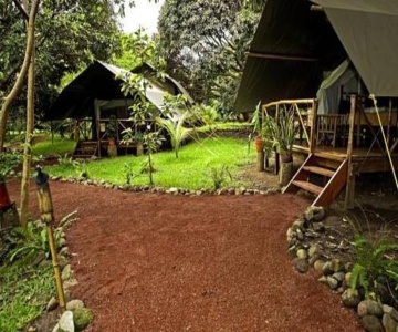 Expediciones Mexico Verde