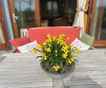 Hestar Husid, Het Luxe Paardenhuis