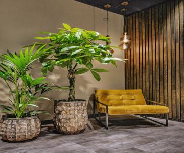 Origo Leilighetshotell- Ovre Storgate 5