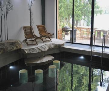 Willa Borowa Przystan