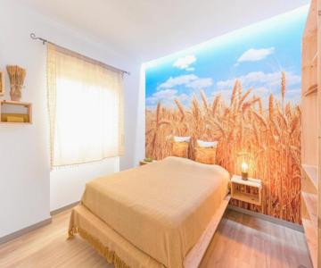 A Casa Da Ermida De Aljustrel