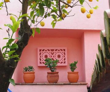 Casa Do Limoeiro - Sleeps Up To 4 Comfortably