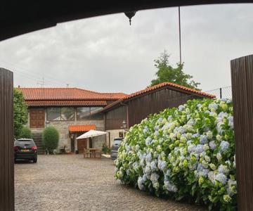Bergui Guesthouse - Em Guimarães Desde 2017