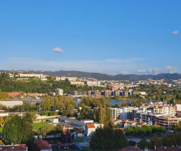 Coimbra's Gray & White