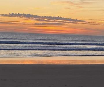 Albur Village B - Dandelion