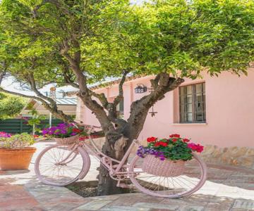 Quinta Aida Cottage And B&b Suites