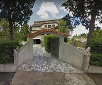 Pinheirinhos - Quinta De São Caetano