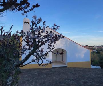 Quinta Dos Girassóis Fz
