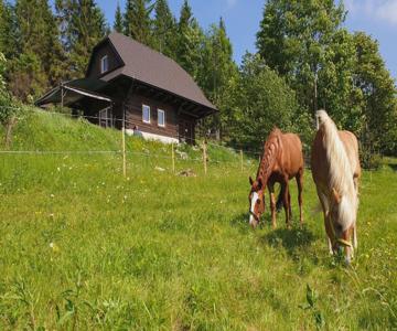 Panorama Ranc
