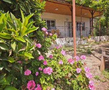 Olympos Orange Village