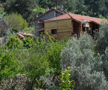 Faralya Limon Hotel